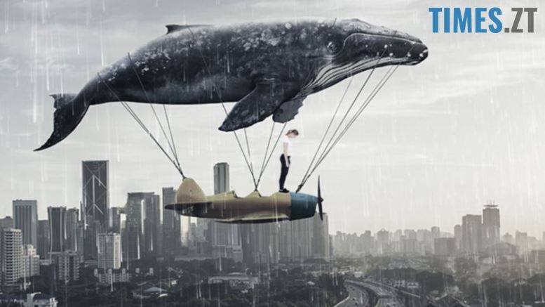 Дитяче та підліткове самогубство - гра Синій кит | TIMES.ZT
