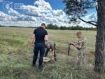 екоінспектори вимірюють та записують розмір пенька від зрубаного чорними лісорубами дерева