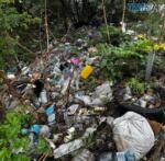стихійне сміттєзвалище на Житомирщині
