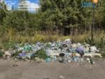 стихійне сміттєзвалище у Житомирському районі